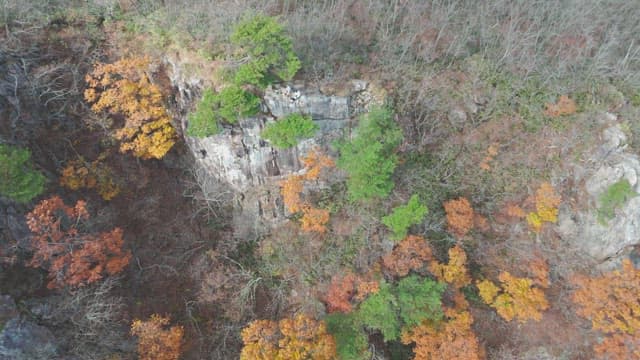 Autumn mountain landscape with colorful trees