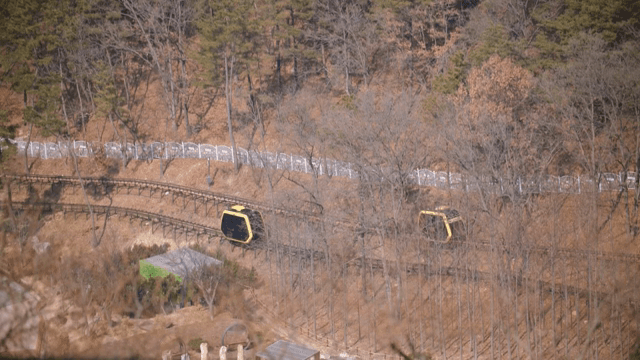 숲속을 지나가는 노란 모노레일