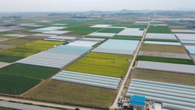 비닐하우스와 밭이 펼쳐진 광활한 농경지