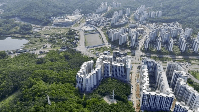 녹지로 둘러싸인 도시의 항공 뷰