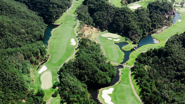 Green Lush Golf Course