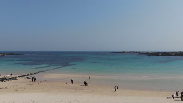 Serene beach with clear blue water