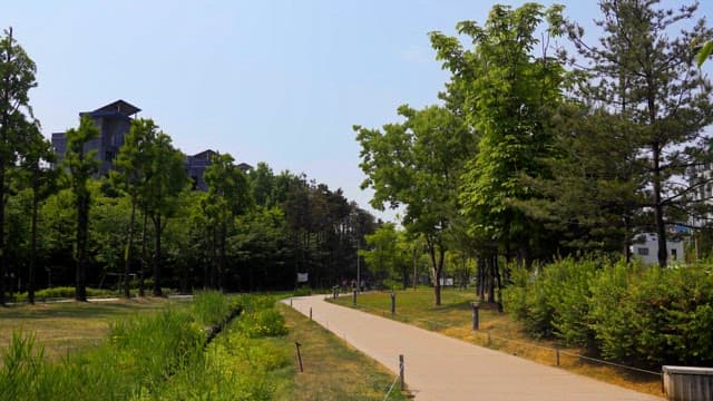 City park with trees and greenery paths on a sunny day