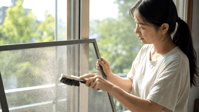 Woman cleaning window screens at home