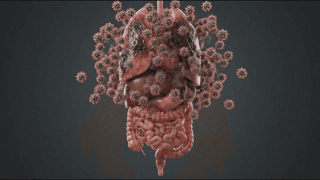 Human organs with virus particles