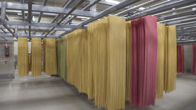 공장에서 건조 중인 다양한 색상의 파스타