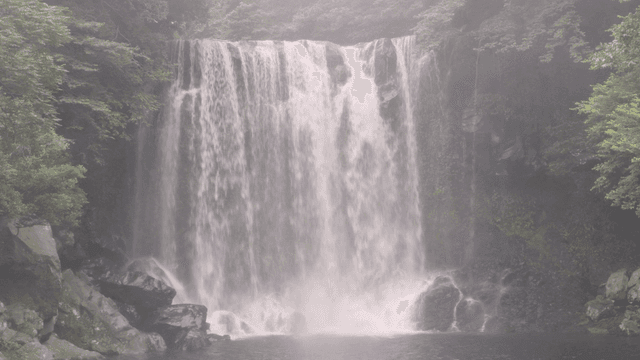 Serene waterfall surrounded by lush greenery