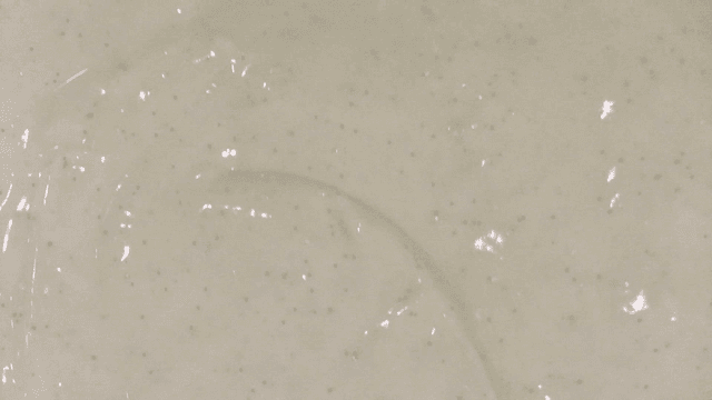 검은 점이 있는 진한 크림 소스