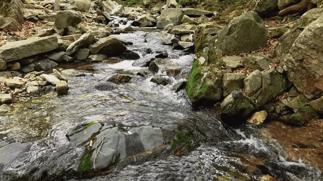 Flowing water over rocks in a stream