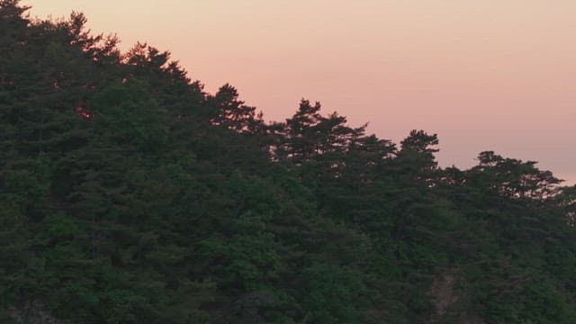 숲과 먼 바다 위로 지는 해