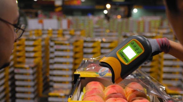 당도측정기로 복숭아를 검사하는 모습