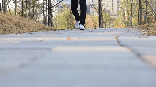 A person walking on a park pathway