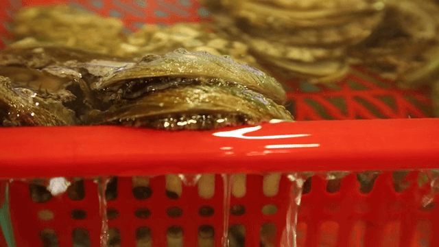 물속 빨간 바구니에 담긴 신선한 전복