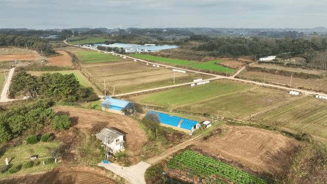 시골 마을이 있는 광활한 농지