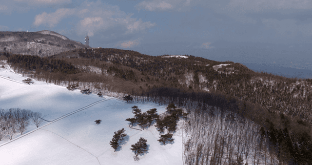 Snow-covered mountains and forests