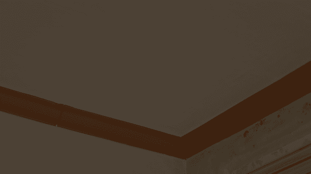 Corner of a room with mold on the wall