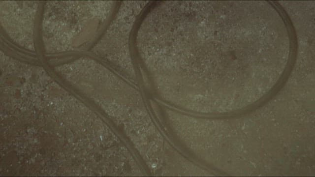 바닥에 놓인 호스와 소방복