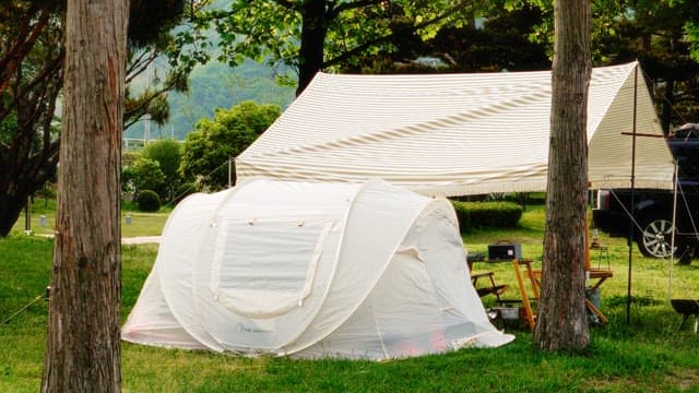 Whie tent set up in a green forested campsite