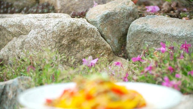 돌 위에 놓인 노랗고 빨간 파프리카볶음