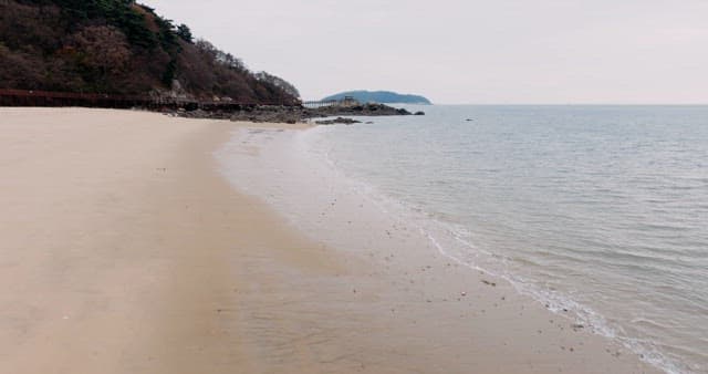 평화로운 바위 해안선과 산책로