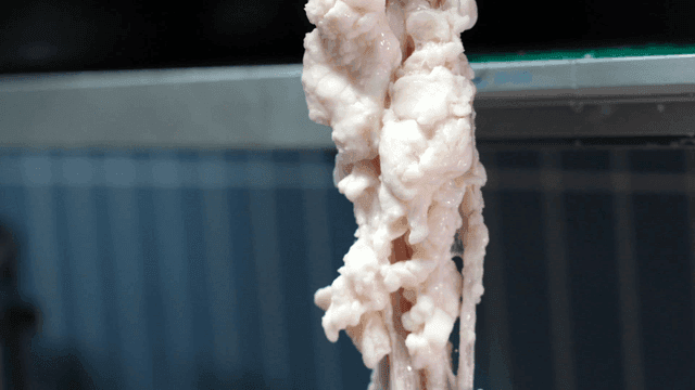 Raw beef intestines being washed in running water