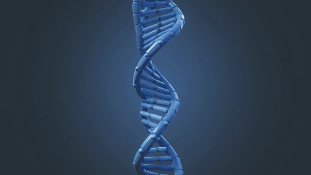 Rotating DNA helix