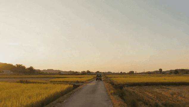 광활한 가을 시골 들판을 달리는 자동차