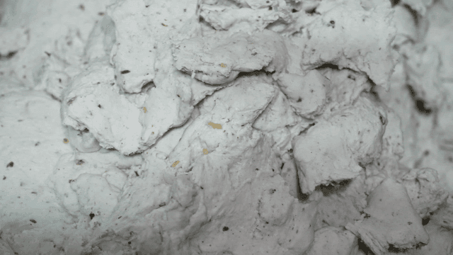 Dough with seeds in a metal bowl