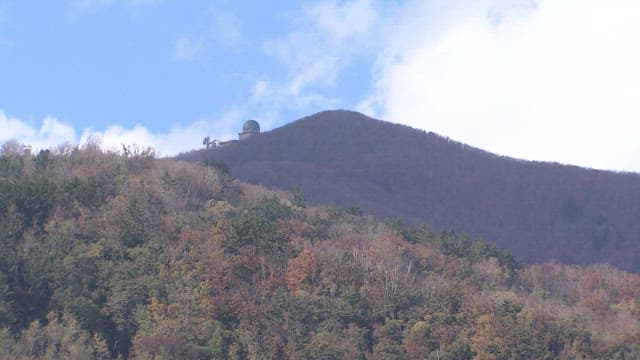 숲이 우거진 산꼭대기의 전망대