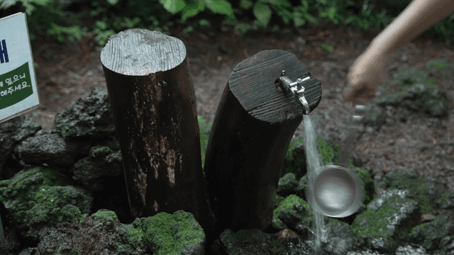 Clear spring water flowing from forest well