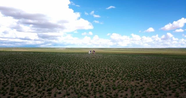 People walking in a vast open field