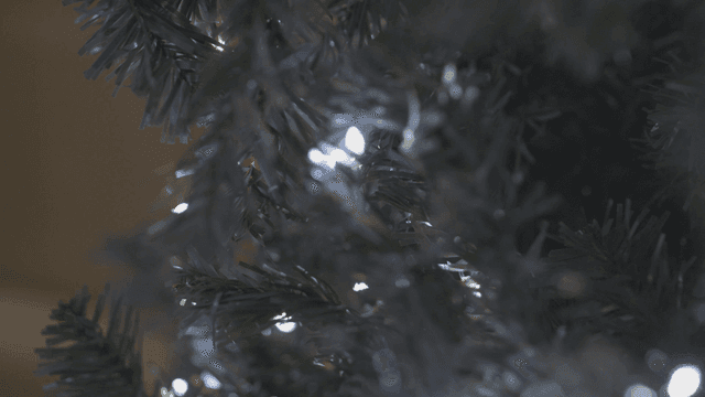 Twinkle Christmas tree lights