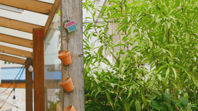 Pots hanging on a pillar beside a tree in sunlight