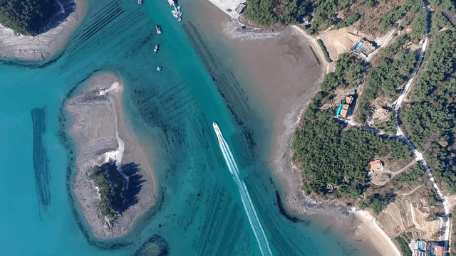 맑은 푸른 바다를 항해하는 보트