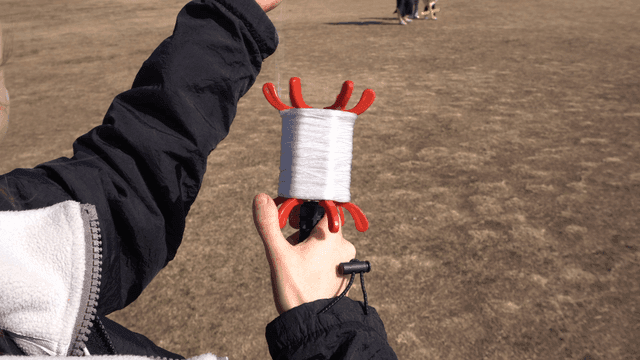 Hand of person flying kite in field