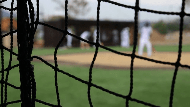 Watching a baseball game from the dugout