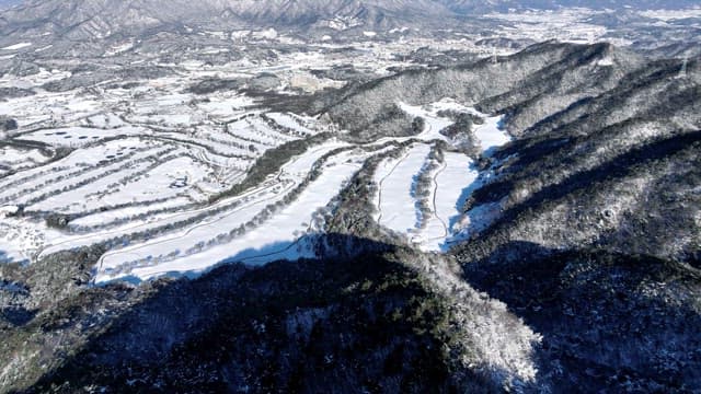 눈 덮인 나무와 겨울 풍경