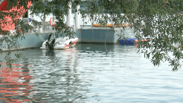 Peaceful riverside with boat and trees