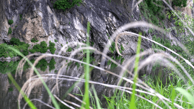 바위 강가에서 낚시하는 사람