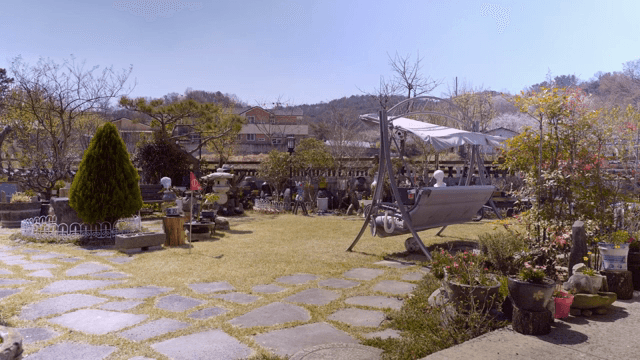 Peaceful garden with various plants