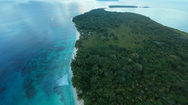 Quiet beach on an island with lush forest at dawn