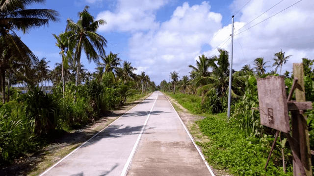 야자수가 늘어선 긴 도로