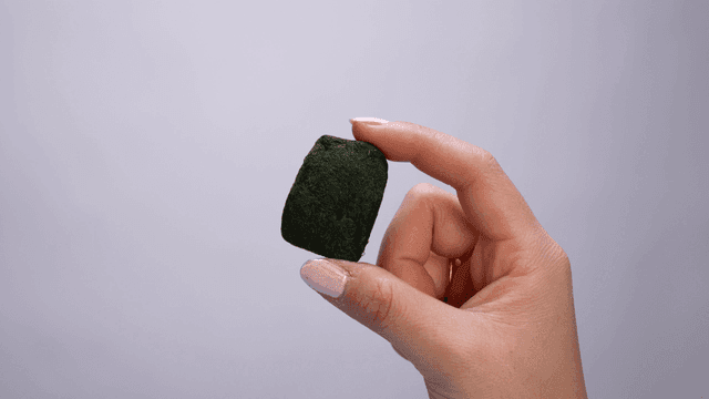Hand holding block of green freeze-dried seaweed