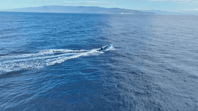 바다 위를 질주하는 보트