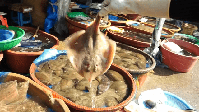 시장에서 생선을 고르는 모습