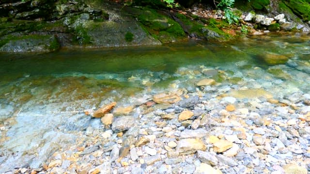 바위가 많은 맑은 계곡물에 손 넣기
