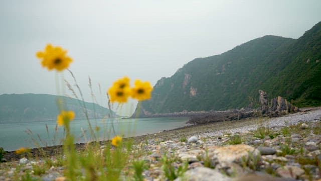 Calm Beach and Green Hills on a Cloudy Day