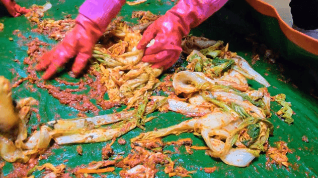 매트 위에서 김치 재료를 섞는 손