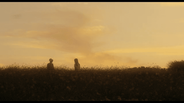 해질녘 꽃밭에 있는 두 사람