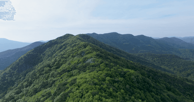 Lush green mountains under a clear sky